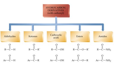 Hydrocarbon Derivatives with Carbonyl Carbon